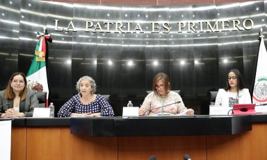 Professor Jennifer Piscopo in a panel at the Mexican Senate