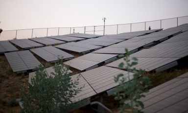 solar panels on the Oxy campus