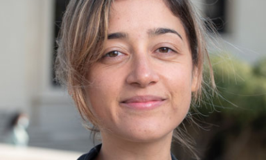 Prof. Stephanie Nelli