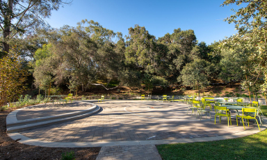 Open space at Sycamore Glen