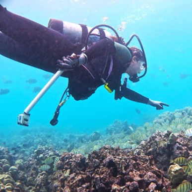 Alumna Morgan Winston deep sea diving