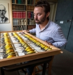 Professor John McCormack
