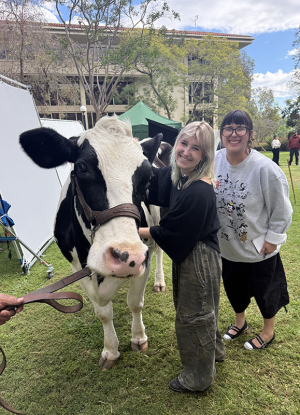 Two Occidental students pet a cow on set at a Chick-fil-A television commercial shoot on campus
