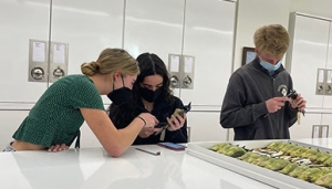 a young woman works in a bird lab, examining specimens