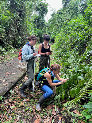 Students taking research notes in a forest