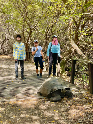 Three people standing with a large turtle