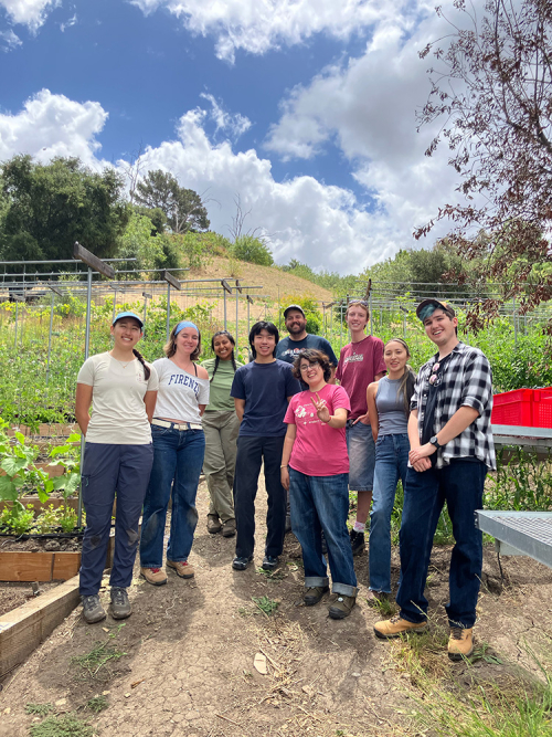 A group of Occidental students posing near their work on a farm with a bright blue sky