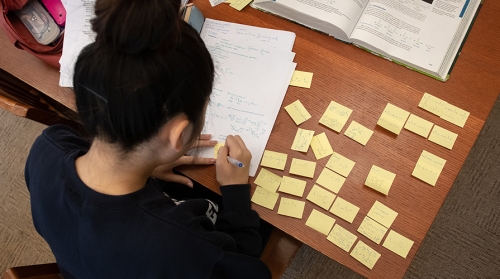 An Occidental student studies in the library