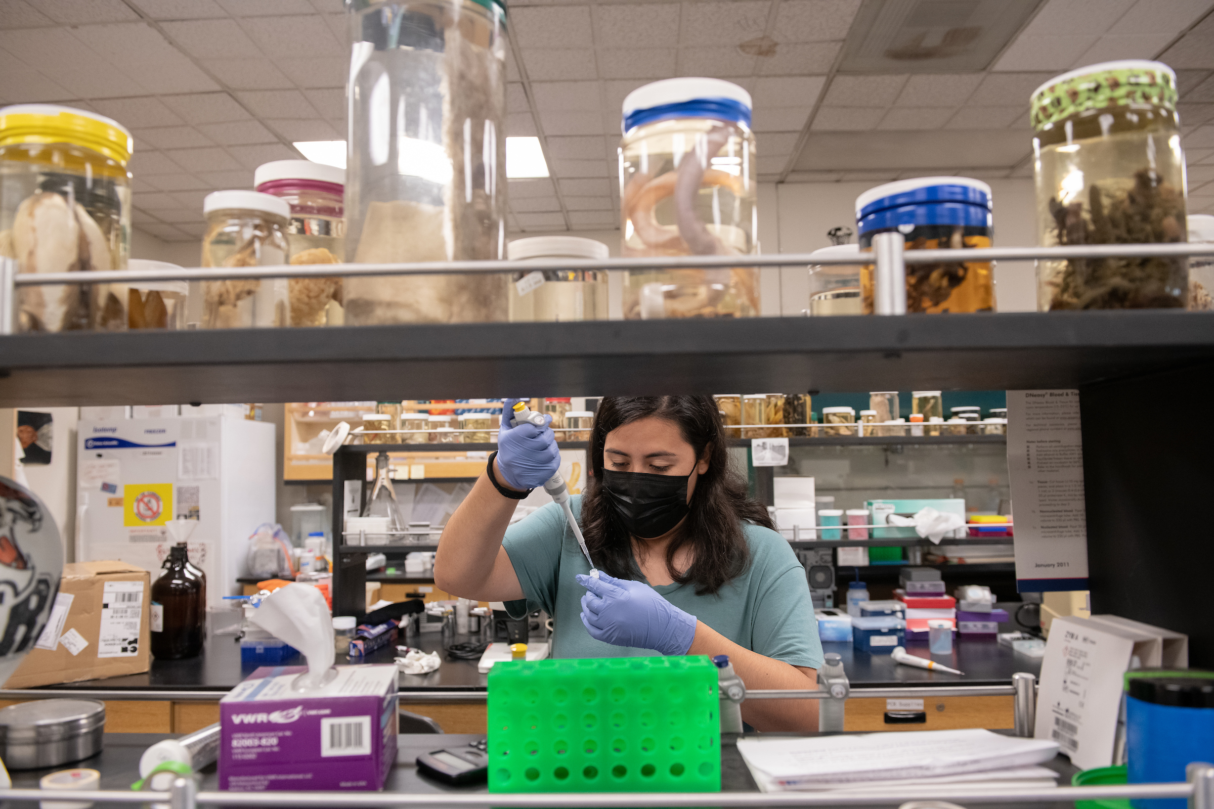 Occidental Receives Grant for National Collaboration To Promote Inclusive Excellence in STEM