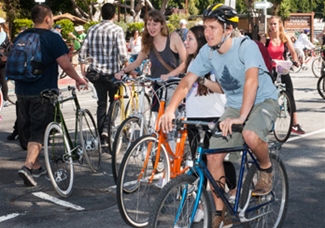 tln-ciclavia