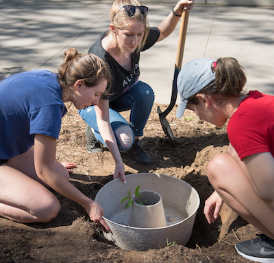 news_Treeplanting_2016