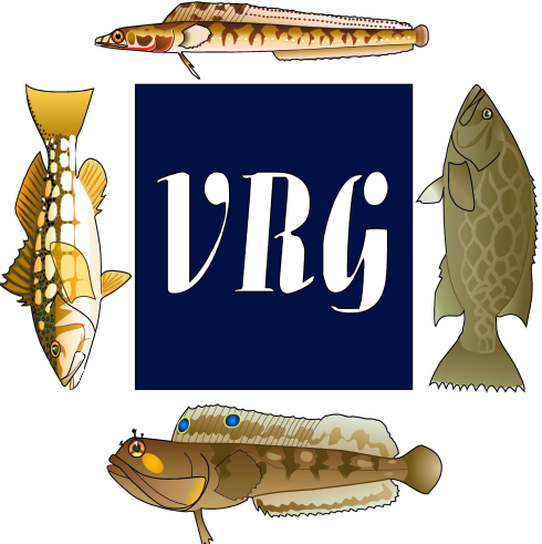 VRG Logo